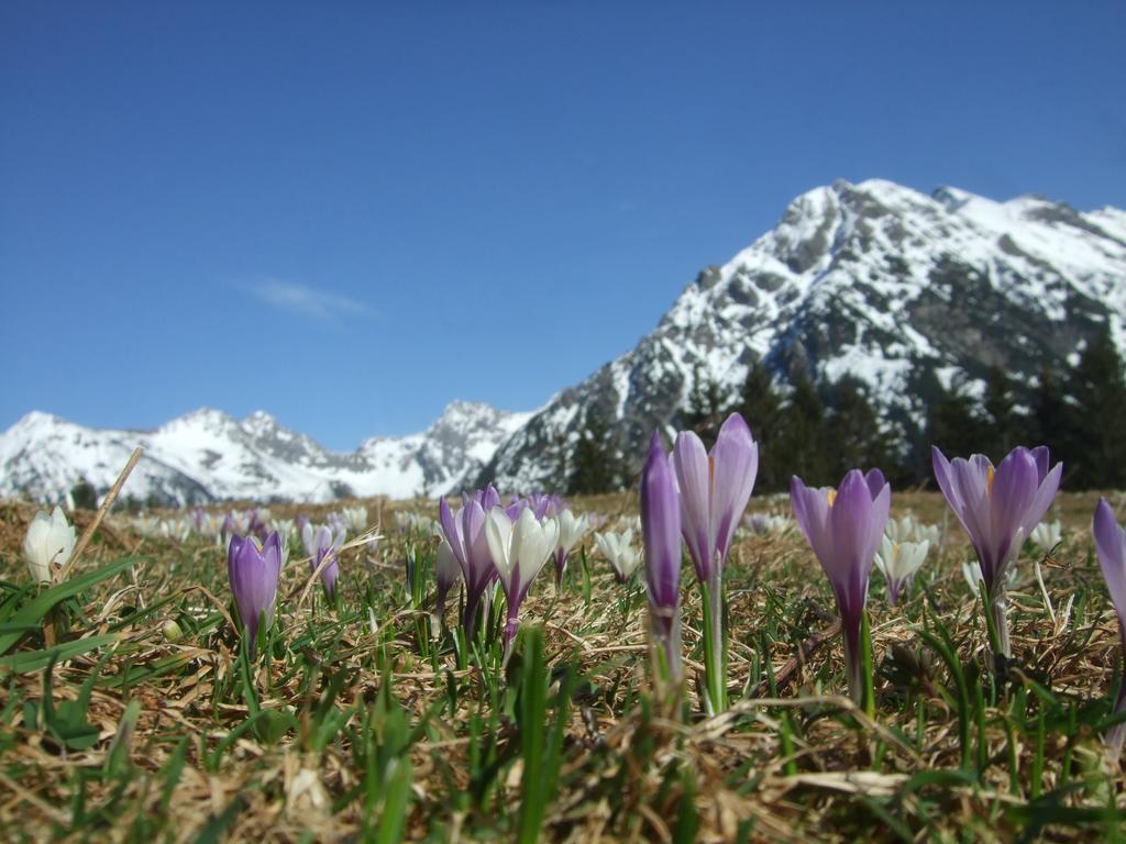 Hotel Alpensonne Riezlern Exteriér fotografie